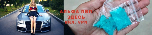 spice Бородино