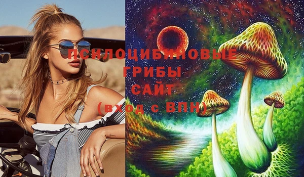 спиды Бугульма