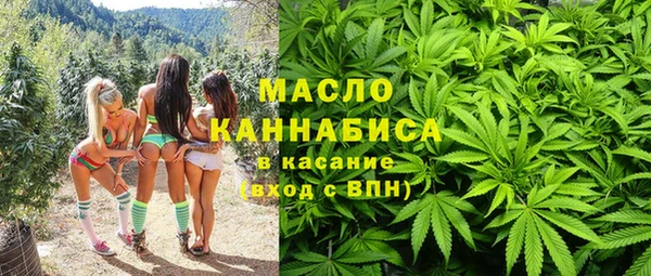 spice Бородино